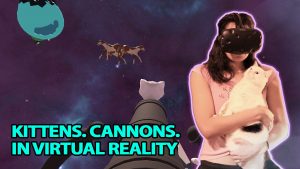 Kitten Cannon VR