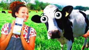 Cow Milking Simulator in VR